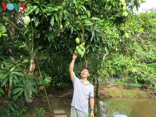 Increasing the value of Vietnam’s fruit specialties - ảnh 1